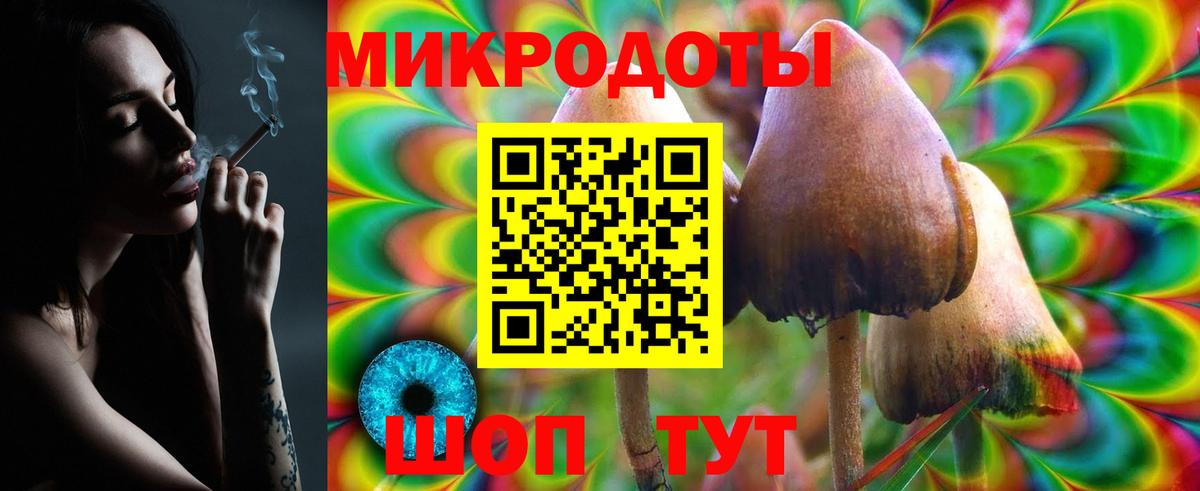 Галлюциногенные грибы Psilocybine cubensis Людиново